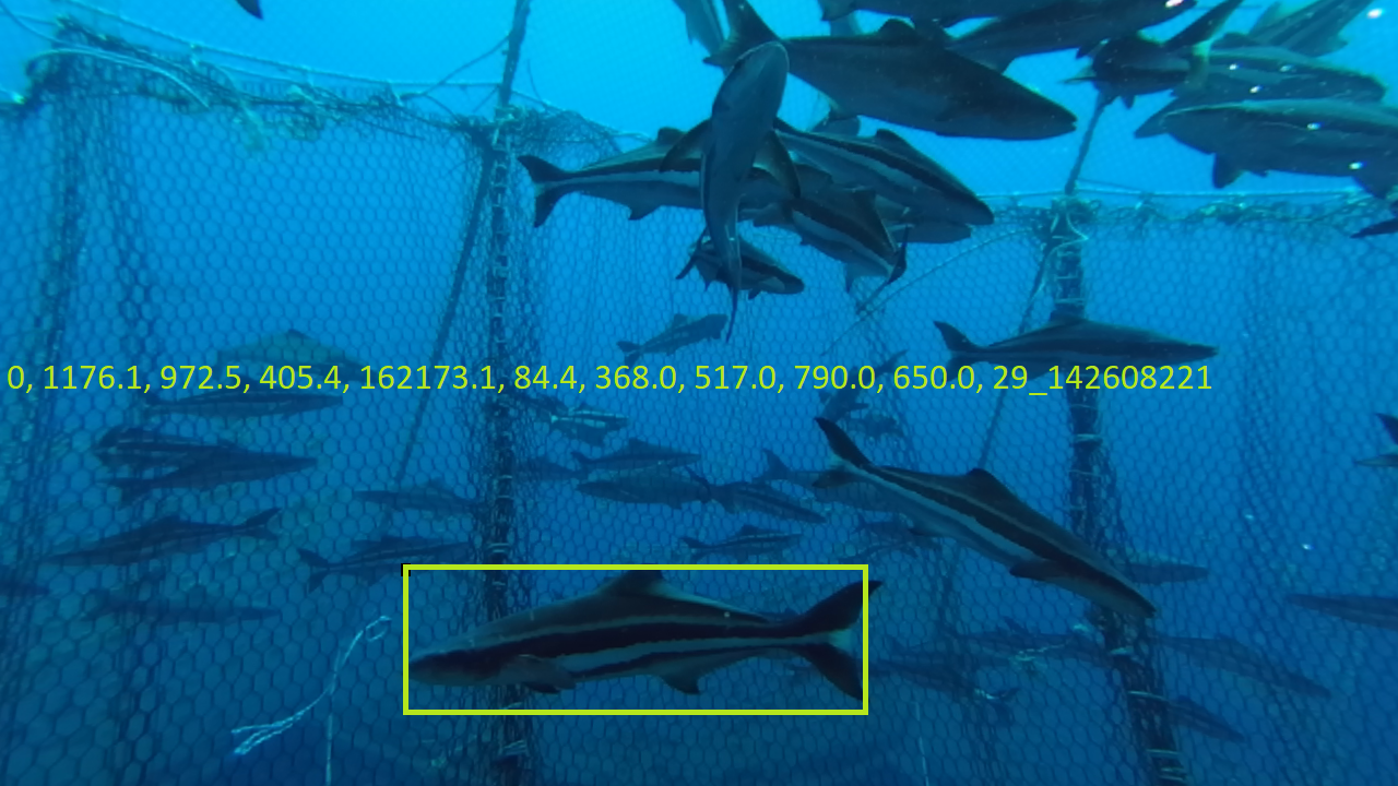 Fish Mass Estimation